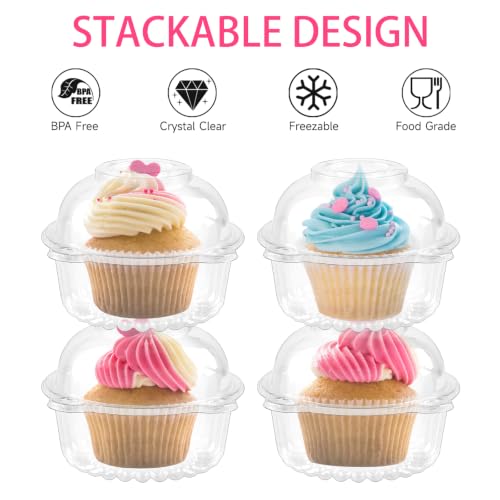 Zezzxu 50 Pack Individual Cupcake Containers Plastic Cake Boxes Stackable