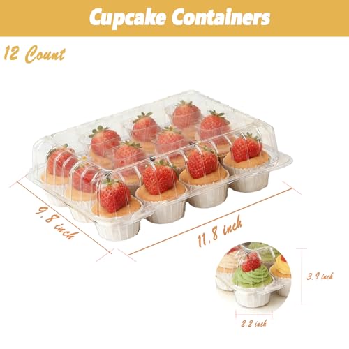 20 Pack Plastic Cupcake Containers,Disposable Cupcake Boxes 12 Count with 240 Cupcake Liners,Cupcake Holders with Tall Dome Lid,Cupcake Carriers Suit for for Baking, Parties, Wedding,Gifting