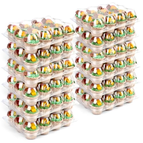 LotFancy 12 Count x 20 Sets Cupcake Containers, Clear Plastic Cupcake Boxes - size: Standard (20 sets)
