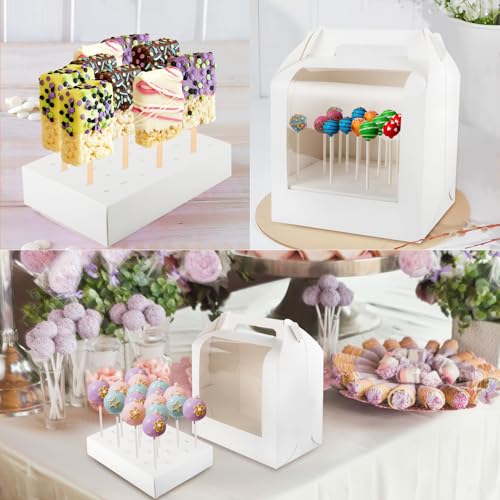Cake Pop Boxes Packaging with Sticks, Display Carrier, 5 Boxes & 100 Sticks