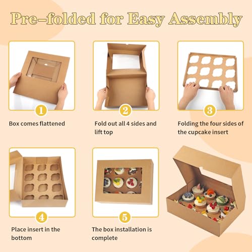 Cupcake Box, Disposable Cupcake Container Bulk, Auto-pop up, 2 Pcs, Brown