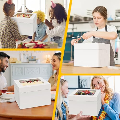 WINKIO Cake Boxes 12 inch, Cake Carrier Holder, Storage Transport Container - size: 12×12×8