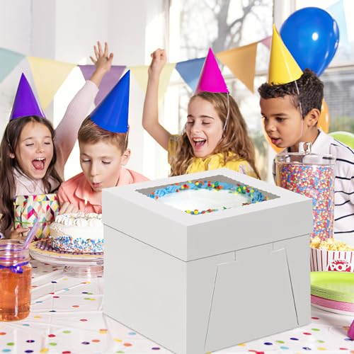 WINKIO 10 in Cake Box with Board, Cake Carrier Holder Container - size: 10x10x8 Inches