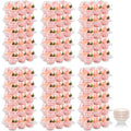 Mini Cupcake Container Boxes Holder - 6 Counts Carrier with 200 Pack Liners
