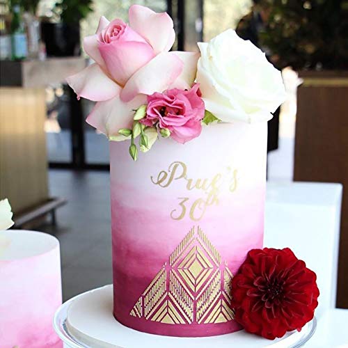RAYNAG 6 Pieces Cake Decorating Stencils for Buttercream