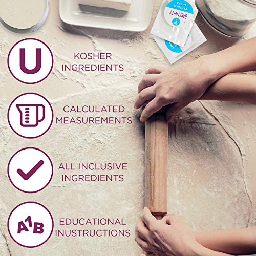 Baketivity Bug Cupcakes Kids Baking Kit with Pre-Measured Ingredients - color: Bugs
