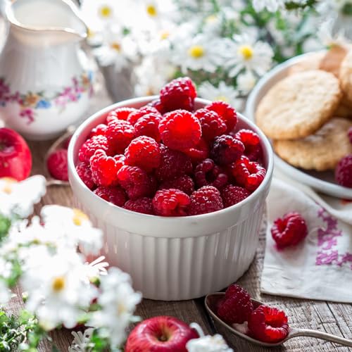 Foraineam Set of 12 Pcs 6 oz Porcelain Souffle Dishes, White Ramekins Bakeware Set Dessert Custard Baking Cups for Baking, Cooking, Serving and More (Pack of 2) - size: 6 Ounce (Pack of 2)