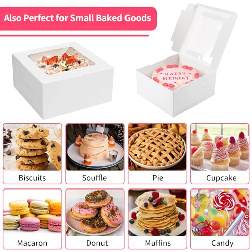 WINKIO Cake Boxes 10 inch, Cake Carrier Holder, Storage Transport Container - size: 10×10×5