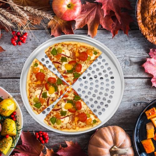 Zerodeko Stainless Steel Pizza Pan Round Perforated Pizza Baking Tray Pan with Holes Replaceable Baking Tray Accessory 9.84 in Oven Bakeware for Homemade