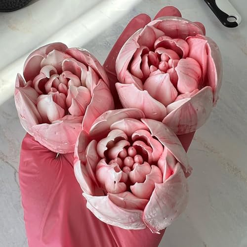 5 Pieces Stainless Steel Extra Large Russian Piping Tips Set - color: SILVER SET4