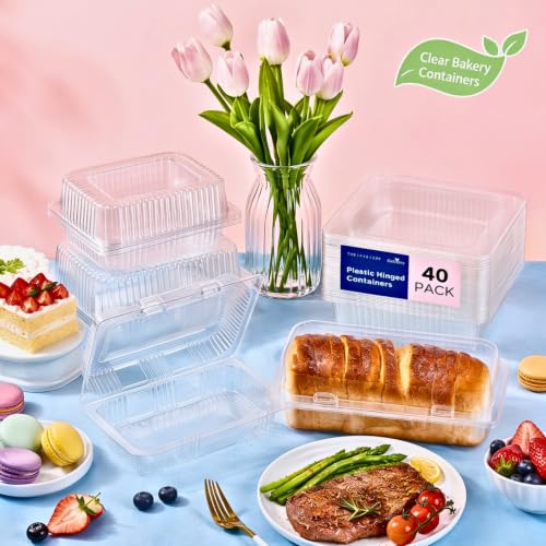 40 Pack Disposable Plastic Hinged Food Containers with Clear Lids