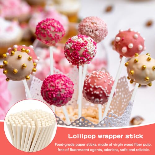 Cake Pop Mold Sticks Set, Ball Shape Cake Pop Maker Mold with 100 Pcs Paper Sticks, Clear Wrappers & Gold Twist Ties, DIY Lollipop Baking Tools for Candy & Cake Pop Making