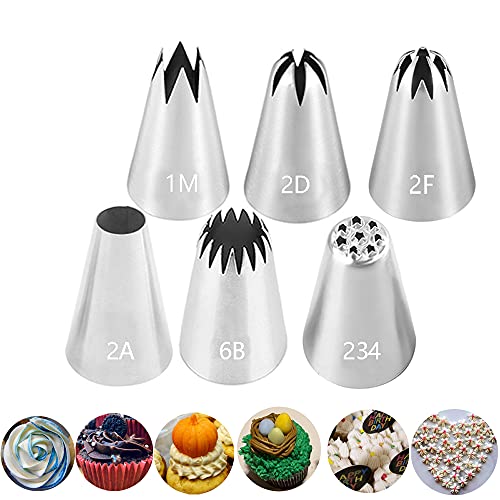 Large Icing Piping Tips Set for Cake Decorating,6 Decorating Tips Stainless Steel Pastry Tips,Flower Frosting Tips Nozzles,#1M 2A 2D 2F 6B 234 - color: Type 6