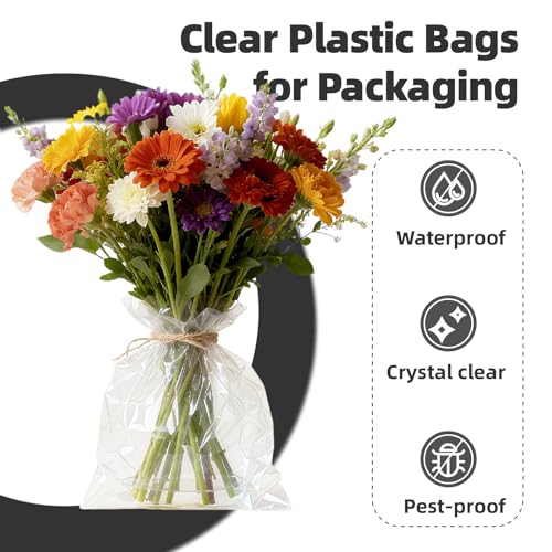 100 Count 10x13 Thick Self Sealing Cellophane Bags - size: 10x13（Pack of 100）