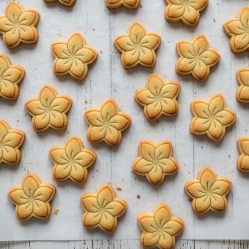 BAKERLOGY Frangipani Mini Cookie Cutter and Stamp Set – Plumeria Flower Biscuit Fondant Embosser for Tropical Hawaiian Baking, Summer Luau Party Cupcake Decoration