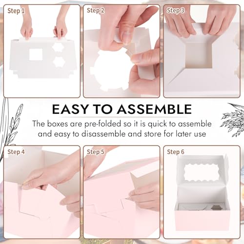 JCD 8Pcs Pink Cake Cupcake Combo Boxes Clear Lid with 2 Cupcake Holes -Clear Window Bento Cake Boxes for Bakery Baking Supplies(Pink 1+2/8Pcs) - size: Pink 1+2/8Pcs