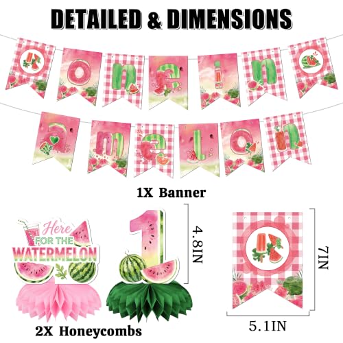 One in a Melon Decorations Set, Watermelon Themed Birthday Decoration