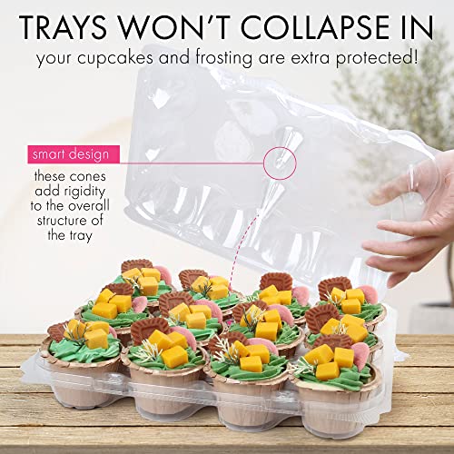 LotFancy 12 Count x 5 Sets Cupcake Containers, Clear Plastic Cupcake Boxes - size: Standard (5 sets)