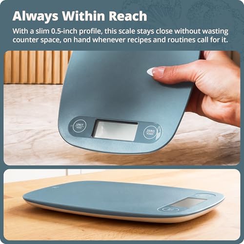 Greater Goods Food Scale, Slim & Compact Build, 1g Precision (Stone Blue) - color: Stone Blue