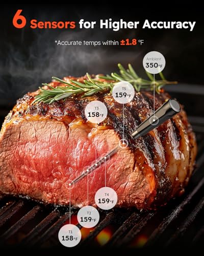 Wireless Meat Thermometer Digital, Smart Bluetooth Instant Read, Grey - color: Matte Ash