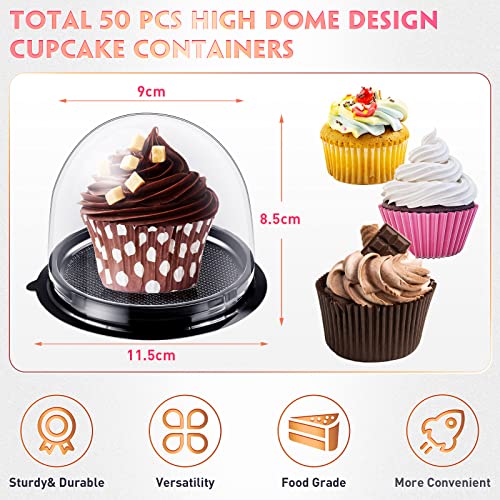 Honeydak 50 Pcs Clear Individual Cupcake Boxes Container Cupcake Holder