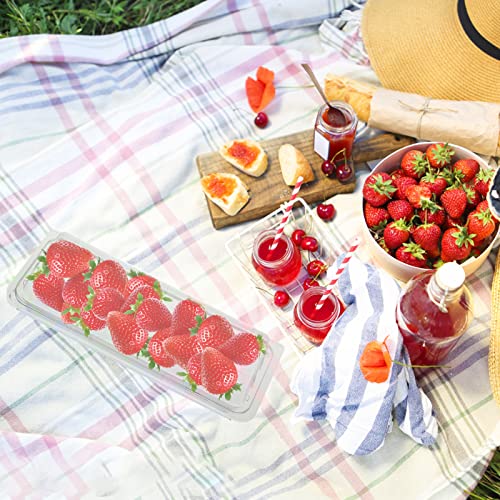 50 Clear Hinged Plastic Containers Sturdy To-Go Clamshell Food Containers