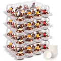 20 Pack 12 - Count Mini Cupcake Containers with 240 Liners
