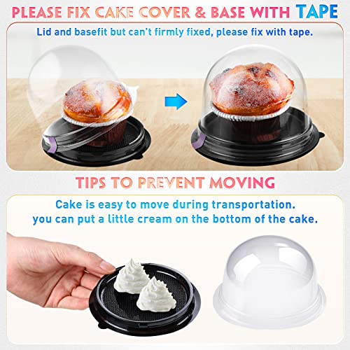 Honeydak 50 Pcs Clear Individual Cupcake Boxes Container Cupcake Holder