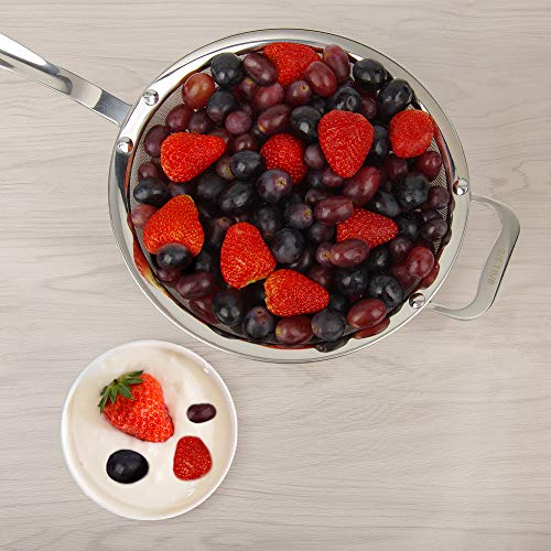 9" Large Fine Mesh Strainer, Stainless Steel 18/8 Extra Fine Mesh Quinoa Sieve, with Solid Sturdy Handle, Flour Filter with Wider Hook - size: 1 Pc. - 9"