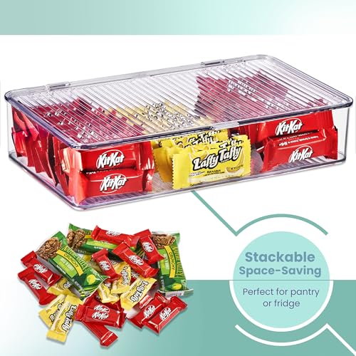 Sorbus Clear Storage Bins with Lids, Stackable Organizer (Small) - size: Small
