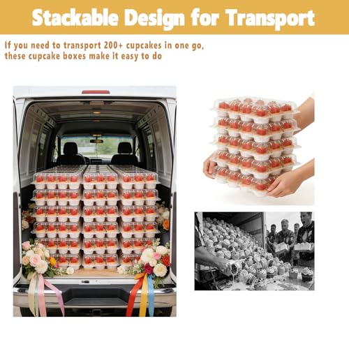20 Pack Plastic Cupcake Containers,Disposable Cupcake Boxes 12 Count with 240 Cupcake Liners,Cupcake Holders with Tall Dome Lid,Cupcake Carriers Suit for for Baking, Parties, Wedding,Gifting