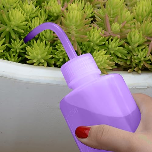 Wash Bottles - 2pcs 250ml Safety Watering Tools, Economy Plastic Squeeze Bottle, Medical Label Green Soap Cleaning, Washing Tool (Purple) - color: Purple
