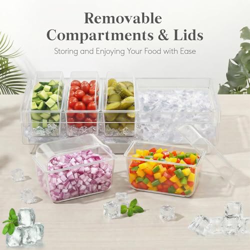 Lifewit Chilled Condiment Container with Individual Lids & Handle Design