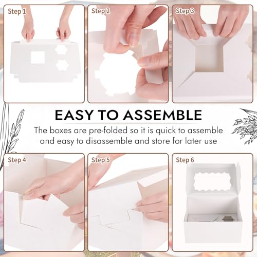 JCD 8 Packs Bento Cake and Cupcake Box 3 Holes Fit 2 Cupcakes and 1 Mini Cake Box with Clear Window and Stickers for Wedding Birthday Party Bakery Baking Supplies (1+2/8pcs) - size: White 1+2/8Pcs