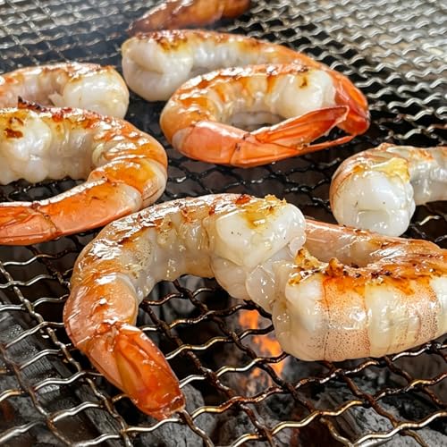 M METERXITY 5 Pack Disposable Grill Toppers, Round 9.45 Inch Galvanized Grill Grates, Disposable Roasting Racks Replacement for Outdoor, BBQ, Camping, Picnics - size: 9.45''