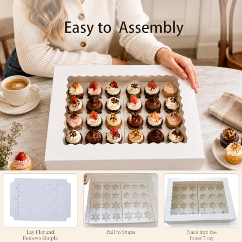 6 Pack Clear Mini Cupcake Container, 24 Count Mini Cupcake Carrier with Window