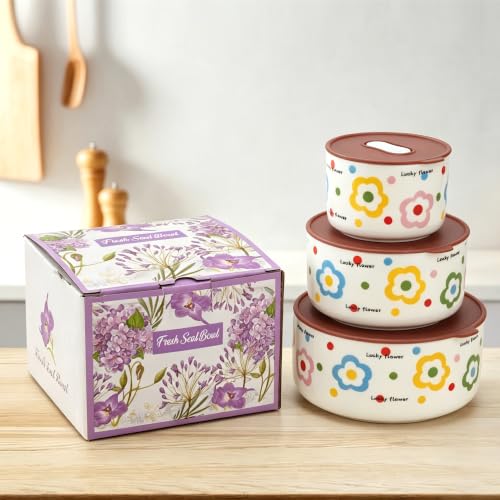 Ceramic Bowls with Lids, 24/15/8 Oz Ceramic Nesting Bowls Set