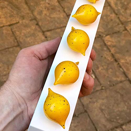 Goldbaking Polycarbonate Chocolate Mould Chocolate DIY Mold Half Lemon