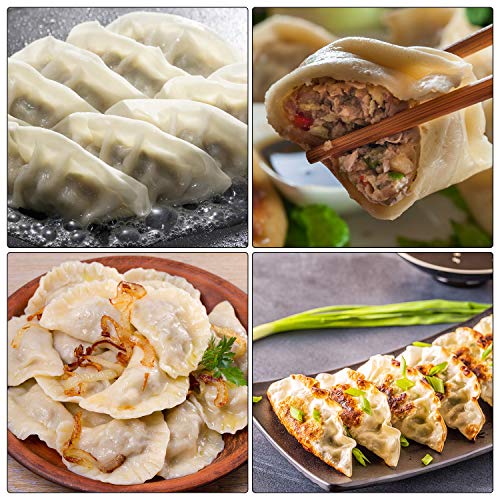 Patelai 6 Pcs Dumpling Maker Set, 3.9" 3.7" 3.2" Press & Skin Cutter