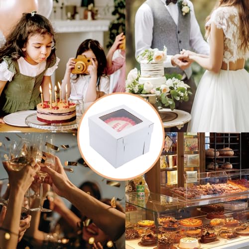 Tall Cake Boxes for Tier Cakes 16x16x14 Inch 3Pack