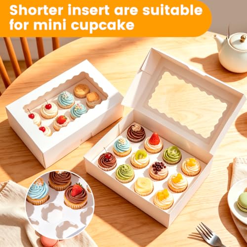 6 Pack Mini Cupcake Container, 12 Count Mini Cupcake Box with Window