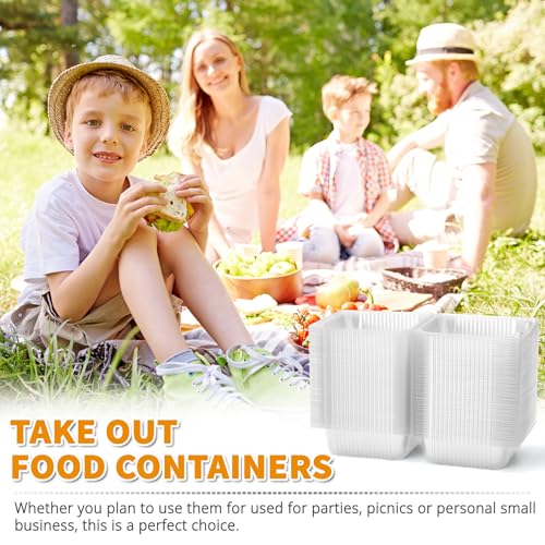 Zezzxu Disposable Square Slice Cake Containers with Hinged Lids, 100 Pack