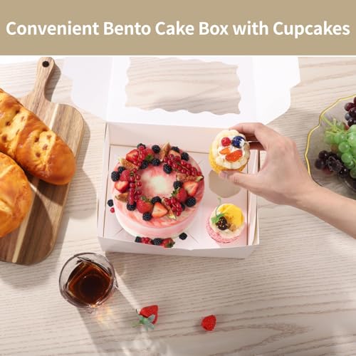 Homaisson 12 PCS Bento Cake Box with Cupcakes, White Packaging Boxes for Cupcakes, Mini Cakes, and Egg Tarts, Includes Clear Window, Ideal for Gifts and Bakery Packaging