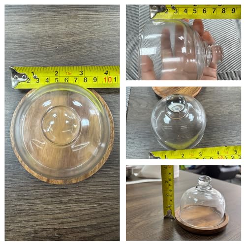 Rikyo 2 Sets Mini Cake Stand,Cake Plate Server Platter with Dome