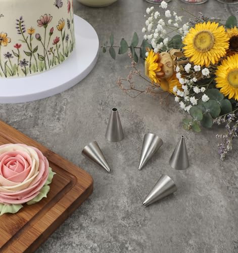 10 Pcs Cake Decorating Tips, Small Piping Tips