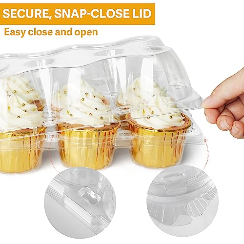 LotFancy 6 Count x 40 Sets Cupcake Containers, Clear Plastic Cupcake Boxes