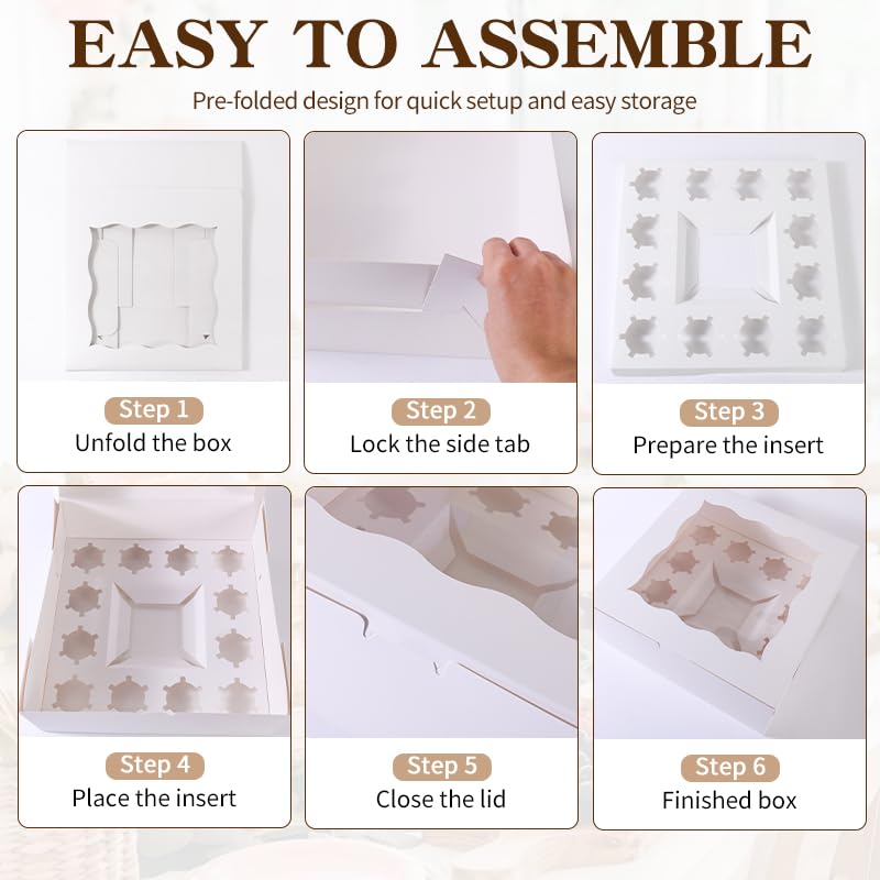 Bento Cupcake Boxes 5pcs,1 +12 Cupcakes,Scalloped Clear Window cake Boxes - size: 1+12/5pcs