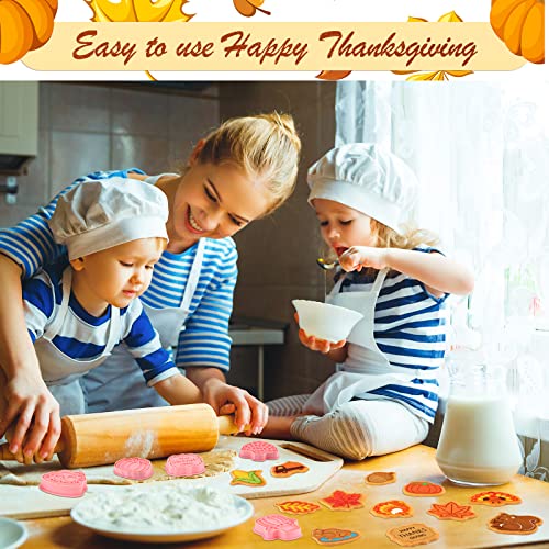 Hoolerry 16 Pcs Thanksgiving Cookie Cutter with Plunger Stamp Set Fall 3D Biscuit Cutter Pastry Fondant Embossing Maple Leaf Turkey Pumpkin Mold for Baking Supplies