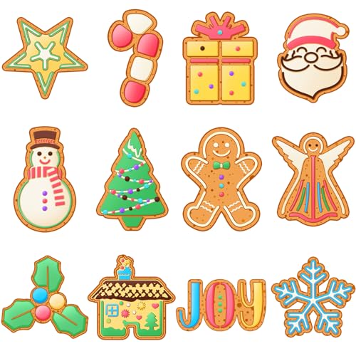 Nuenen 12 Pieces Christmas Cookie Press Discs Set, Stainless Steel for Baking - style: Novel