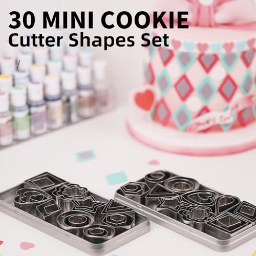 KALAIEN 30Pcs Mini Geometric Stainless Steel Cookie Cutter Set